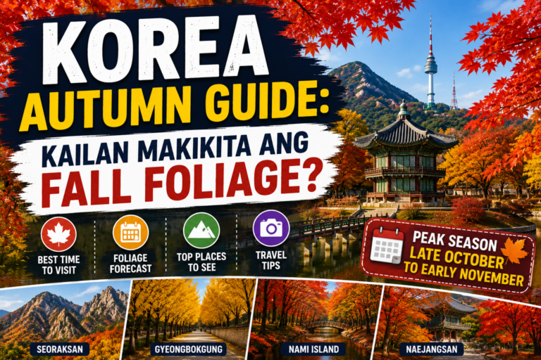 Korea Autumn Guide